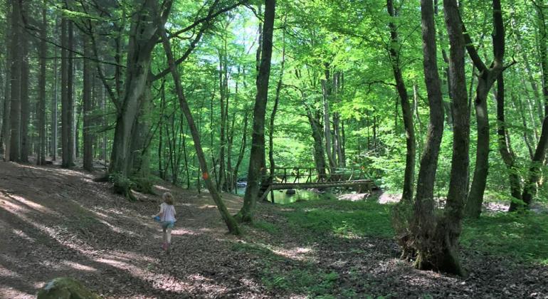 Gaesthus I Naturskoent Laege Genarp Exterior photo